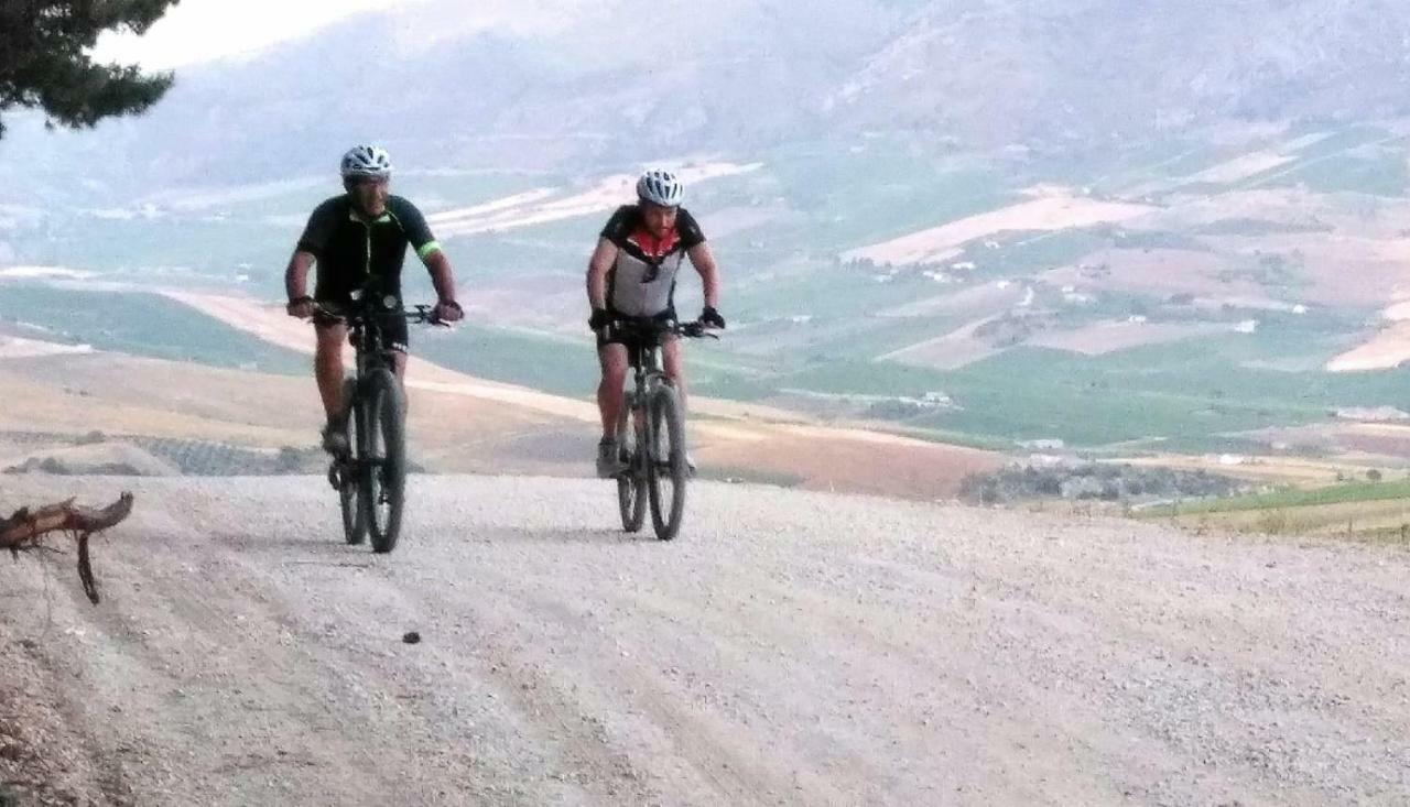 La Dimora Di Segesta B&B Калатафими Екстериор снимка
